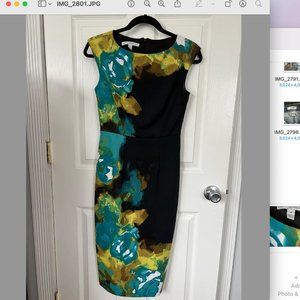 Maggy London Black and Floral sleeveless Lined Dress Size 4